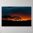 Recherche de savane africaine posters Safari