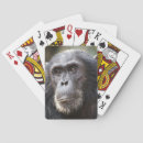 Recherche de mise jeux de cartes Jour