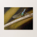 Recherche de dragonfly puzzles Bleu