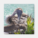 Zoek naar pelican magneten Zee