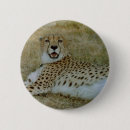 Recherche de guépards badges Faune