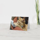 Recherche de programmeur vœux cartes Technologie internet