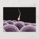 Recherche de fertilité humaine posters Biologie
