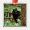 Recherche de jeune animal ornements Faune