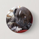 Recherche de chiots badges Pour tous