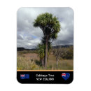 Recherche de zeland magnets Travel