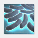 Recherche de bactéries magnets Médical