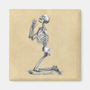 Recherche de anatomie magnets Diagramme