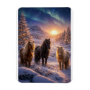 Zoek naar ijslandse paarden magneten Winter