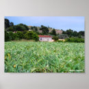 Recherche de artichaut posters Photographie