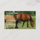 Recherche de jument cheval cartes visite Pouliche