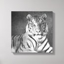 Zoek naar witte siberische tijger posters Wilde dieren