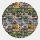 Recherche de loutre mignonne autocollants Pour tous