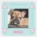 Recherche de chiot bouledogue autocollants Frenchie