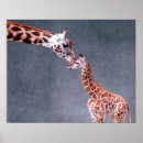 Recherche de amour girafe posters Mère