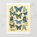 Recherche de papillon bleu cartes postales Vintage