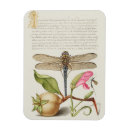 Recherche de fleur de vie magnets Vintage