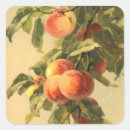 Recherche de pêche vintage autocollants Mignon