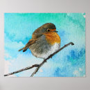 Recherche de oiseau orange posters Robin