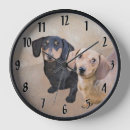 Recherche de sanglier horloges Pour tous
