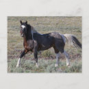 Recherche de archer de ken cartes postales Ranch