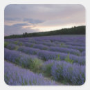 Recherche de champ agricole autocollants Personne