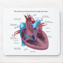 Recherche de cardiologue tapis souris Anatomie