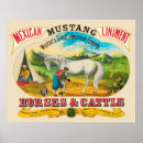 Recherche de médecine vétérinaire posters Cheval