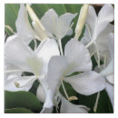 Recherche de parfum carreaux Fleurs