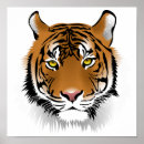 Zoek naar katten gezicht posters Tijger