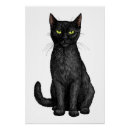 Recherche de le chat noir posters Adorable