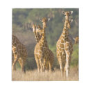 Recherche de habitat blocsnotes Faune