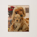 Recherche de cocker spaniel puzzles Amoureux des animaux