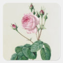 Recherche de redoute autocollants Joseph