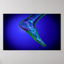 Recherche de anatomie pied posters Illustration