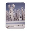 Recherche de couvert magnets Paysage