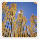 Recherche de bosquet autocollants Arbre