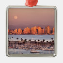 Recherche de san diego ornamente Paysage