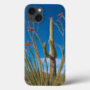 Recherche de saguaro électronique Desert