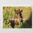 Recherche de marsupiaux vœux cartes Kangourou