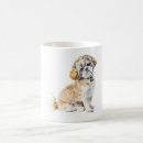 Recherche de compagnon animal classiques tasses Race