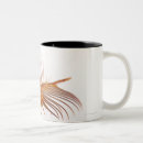 Recherche de coquille tasses Nature
