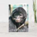 Recherche de singe mignon vœux cartes Sauvage