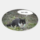 Recherche de chat dans une boîte autocollants Amoureux de les chats