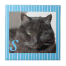 Zoek naar katten tegels Feline