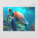 Recherche de mer de corail cartes postales Pour tous