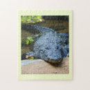 Recherche de crocodile puzzles Reptile