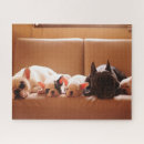 Recherche de french bulldog puzzles Chien