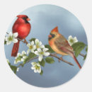 Recherche de peinture numérique autocollants Oiseaux
