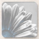 Recherche de marguerite gerbera dessous de verres Floral